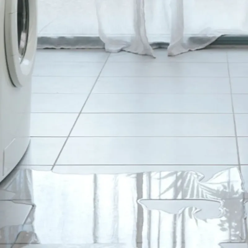Appliance Leak Cleanup in Ferndale, CA