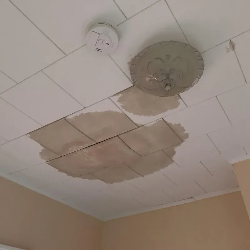 Ceiling Water Damage Repair in Ferndale, CA