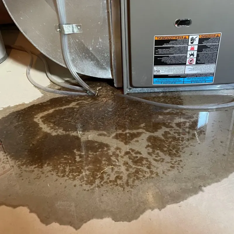 Pipe Burst and Leak Restoration in Ferndale, CA