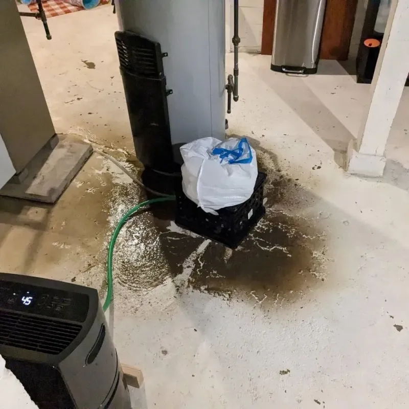 Sewage Backup Cleanup Service in Ferndale, CA